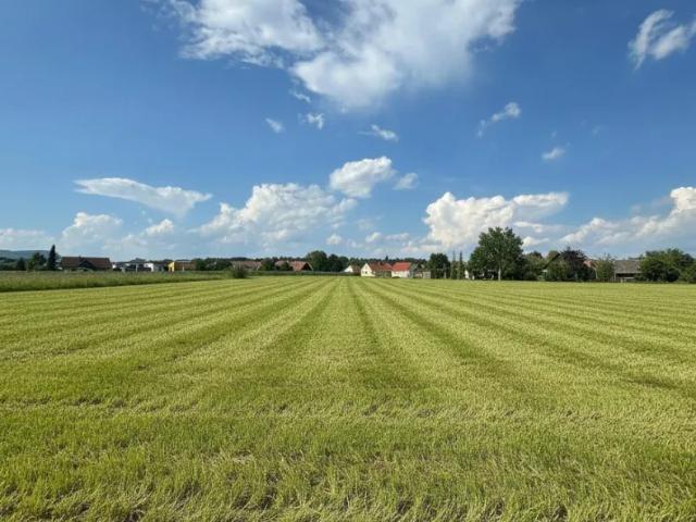 Grundstück kaufen in Gralla, Steiermark