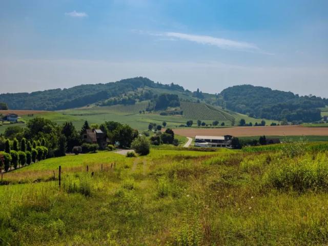 Grundstück kaufen in St. Nikolai im Sausal, Steiermark