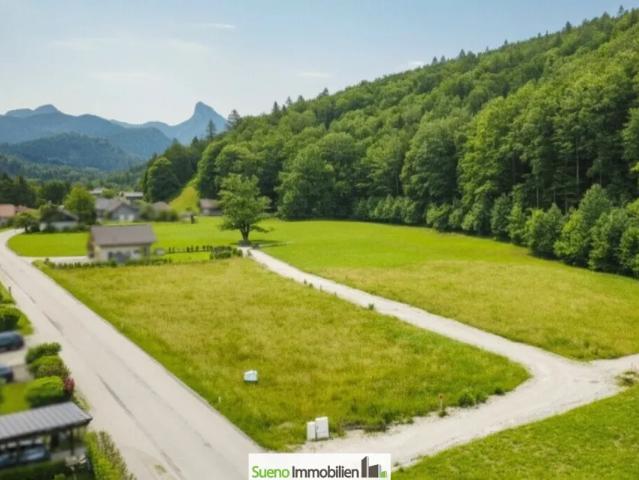 Grundstück kaufen in Grünau im Almtal, Oberösterreich