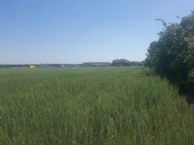 Grundstück kaufen in Hagenbrunn, Niederösterreich