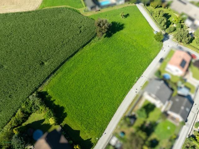Grundstück kaufen in Hofamt Priel, Niederösterreich