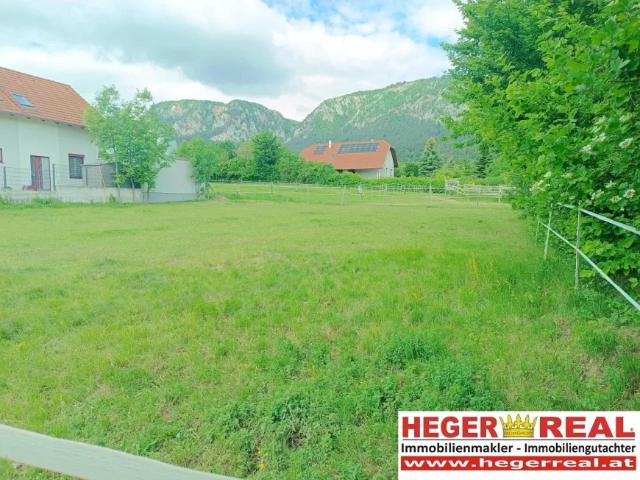 Grundstück kaufen in Hohewand, Niederösterreich