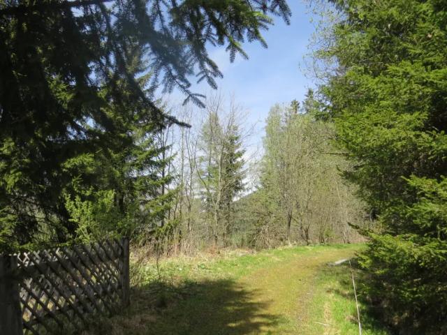 Grundstück kaufen in Hohentauern, Steiermark