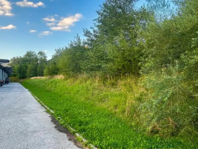 Grundstück kaufen in Langenwang, Steiermark