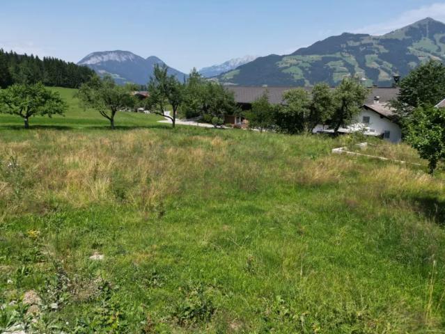 Grundstück kaufen in Hopfgarten i.Br., Tirol