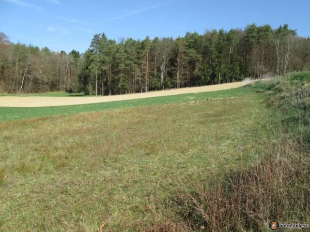 Grundstück kaufen in Jennersdorf, Burgenland