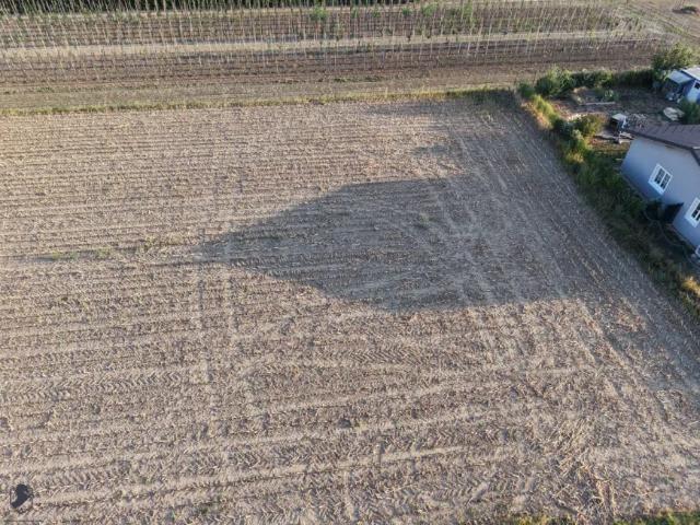 Grundstück kaufen in Judenau-Baumgarten, Niederösterreich