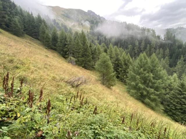 Grundstück kaufen in Kals am Großglockner, Tirol