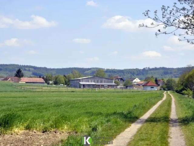 Grundstück kaufen in Kapelln, Niederösterreich