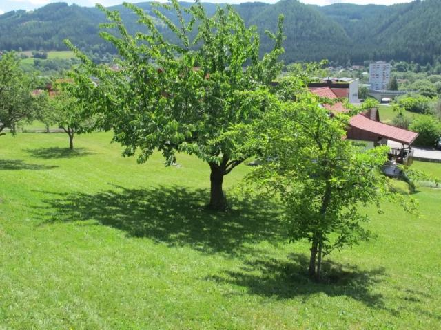 Grundstück kaufen in Kindberg, Steiermark