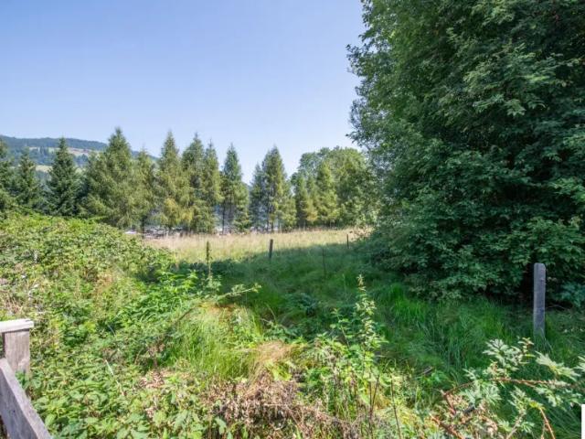Grundstück kaufen in Kirchberg in Tirol, Tirol