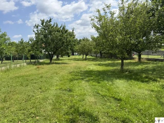 Grundstück kaufen in Kittsee, Burgenland