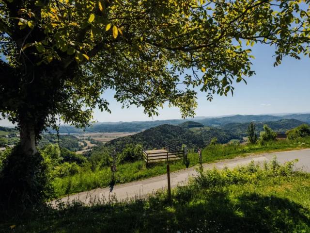 Grundstück kaufen in Kitzeck im Sausal, Bezirk Leibnitz