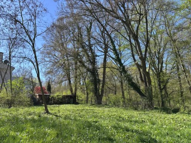 Grundstück kaufen in Klosterneuburg, Niederösterreich