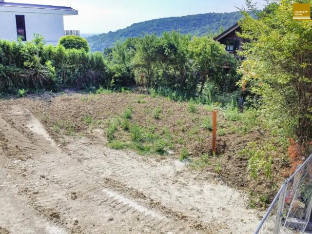 Grundstück kaufen in Klosterneuburg, Niederösterreich