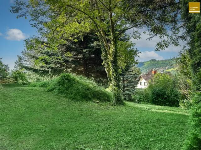 Grundstück kaufen in Klosterneuburg, Niederösterreich