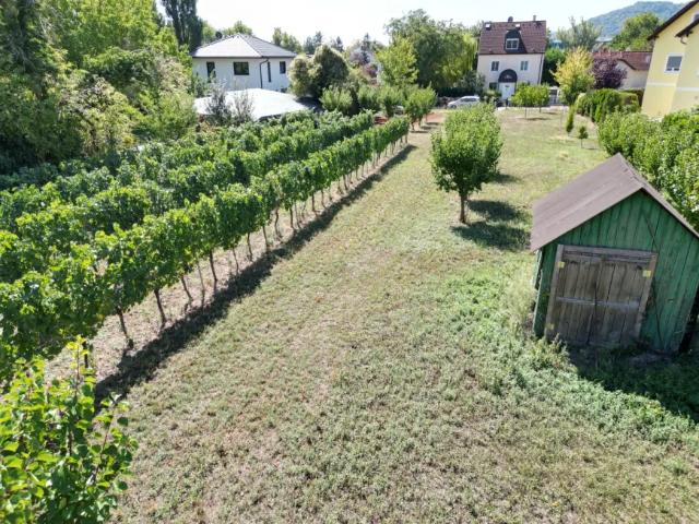 Grundstück kaufen in Langenzersdorf, Niederösterreich