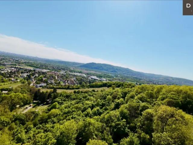 Grundstück kaufen in Langenzersdorf, Niederösterreich