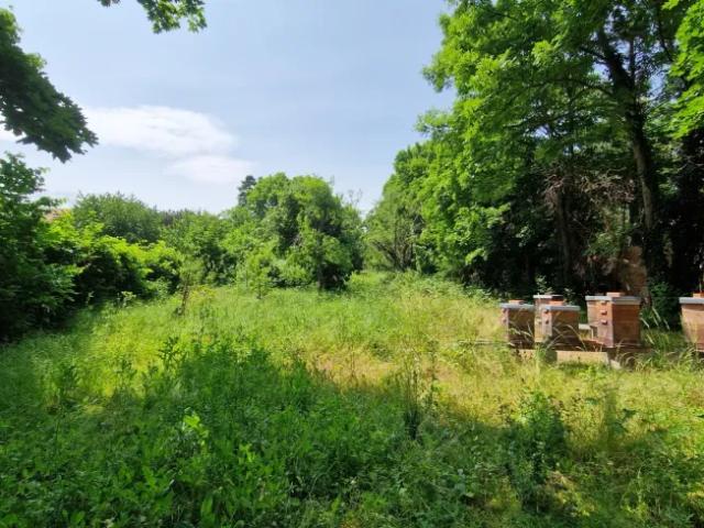 Grundstück kaufen in Maria Enzersdorf, Niederösterreich