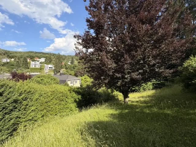 Grundstück kaufen in Mauerbach, Niederösterreich