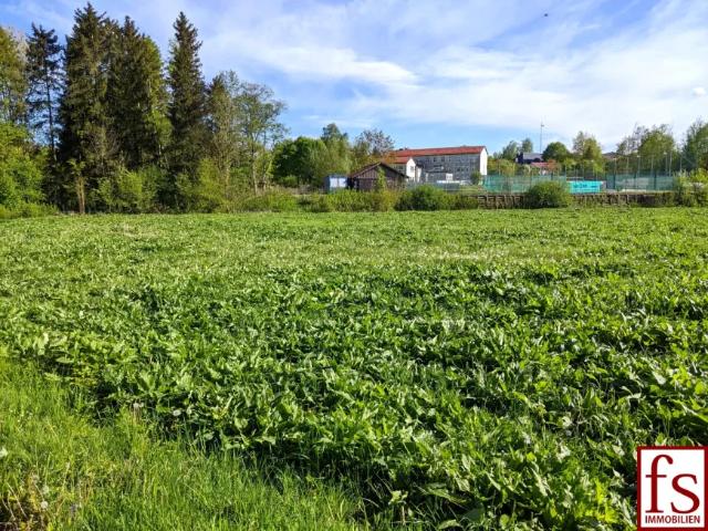 Grundstück kaufen in Michaelnbach, Oberösterreich