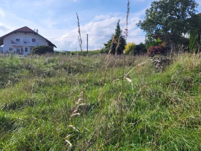 Grundstück kaufen in Mitterndorf an der Fischa, Niederösterreich