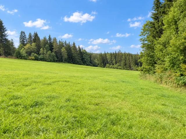 Grundstück kaufen in Mühlen, Bezirk Murau