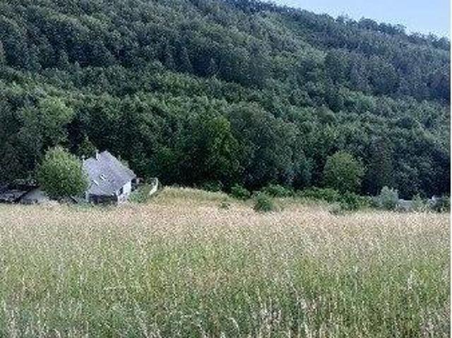 Grundstück kaufen in Katastralgemeinde Neulengbach, Neulengbach