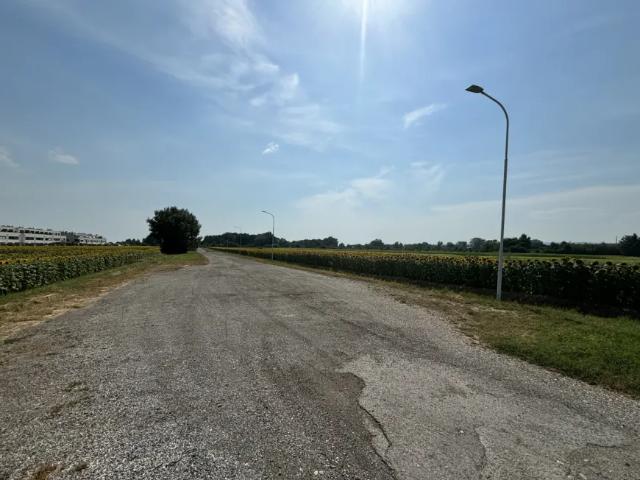Grundstück kaufen in Neusiedl am See, Burgenland