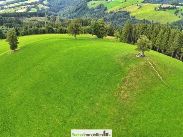 Grundstück kaufen in Oberschlierbach, Oberösterreich