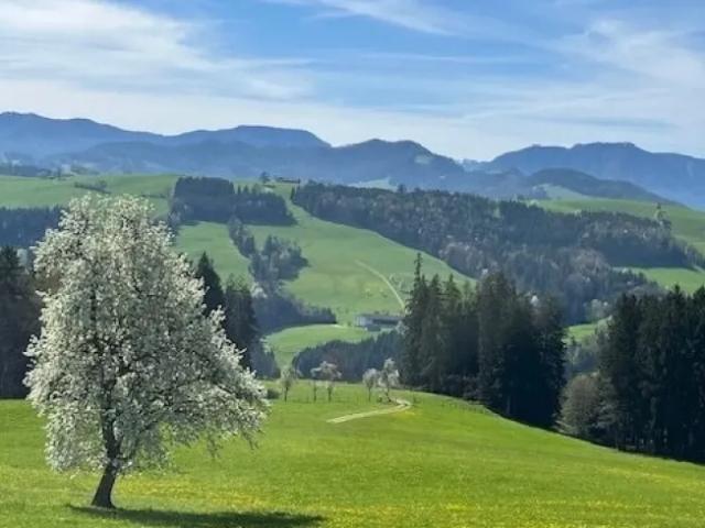 Grundstück kaufen in Oberndorf an der Melk, Niederösterreich
