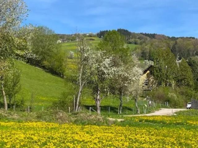 Grundstück kaufen in Oberndorf an der Melk, Niederösterreich