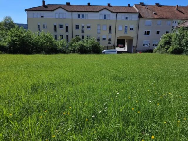 Grundstück kaufen in Pinkafeld, Burgenland