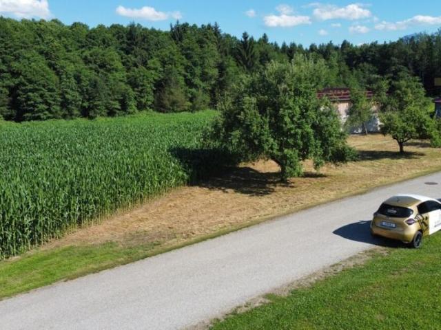 Grundstück kaufen in Pischeldorf, Kärnten