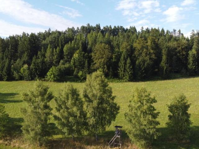 Grundstück kaufen in Poggersdorf, Kärnten