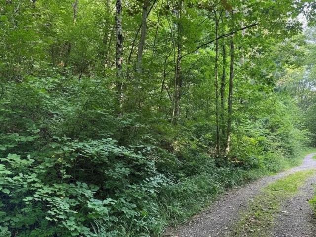 Grundstück kaufen in Pressbaum, Niederösterreich