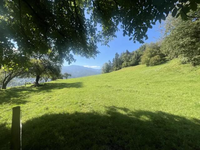 Grundstück kaufen in Proleb, Steiermark