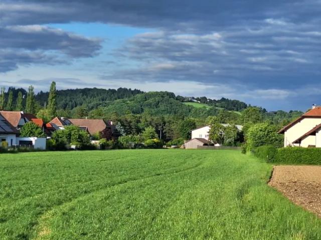 Grundstück kaufen in Purgstall an der Erlauf, Niederösterreich