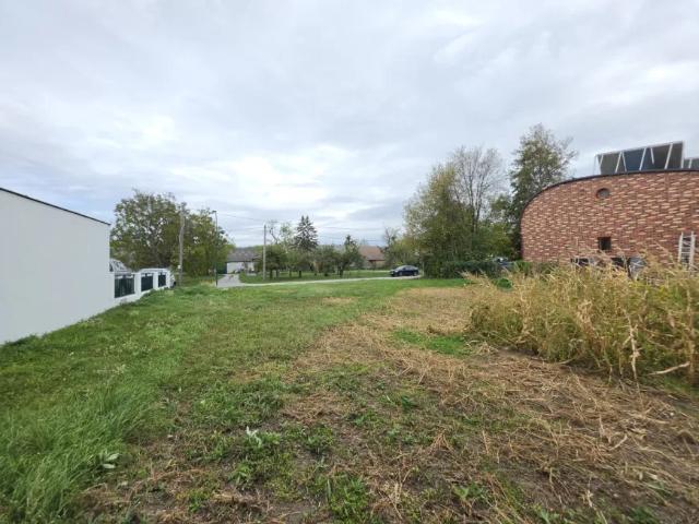 Grundstück kaufen in Katastralgemeinde Rohrau, Rohrau