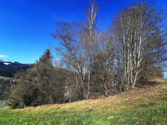 Grundstück kaufen