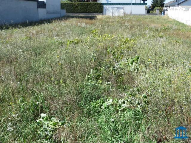 Grundstück kaufen in St. Margarethen, Sankt Margarethen im Burgenland