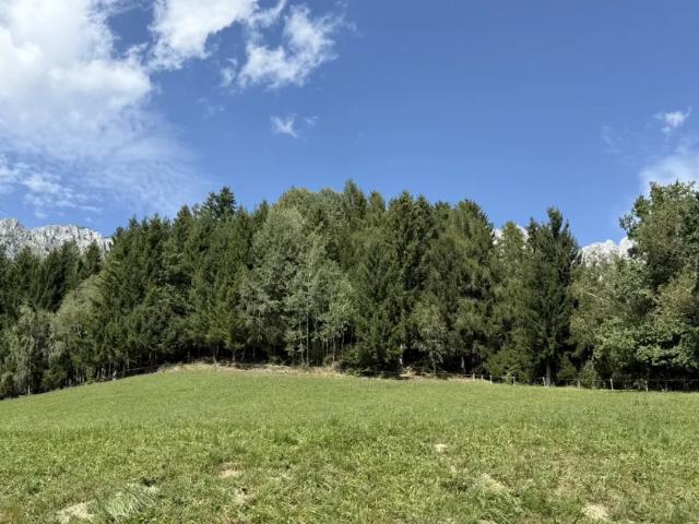 Grundstück kaufen in St. Martin am Grimming, Steiermark