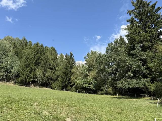 Grundstück kaufen in St. Martin am Grimming, Steiermark