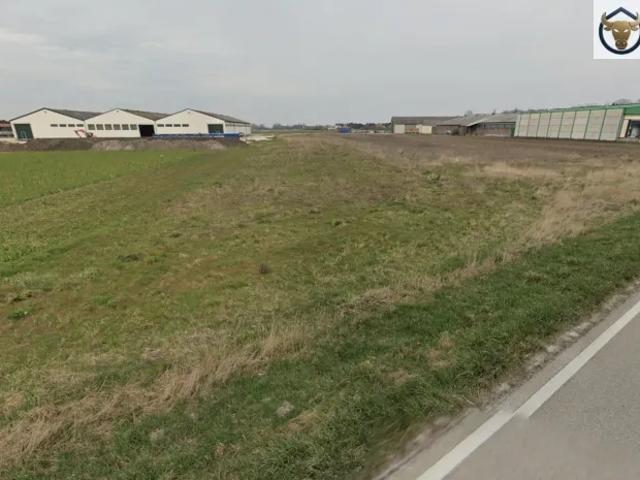 Grundstück kaufen in Seibersdorf, Niederösterreich