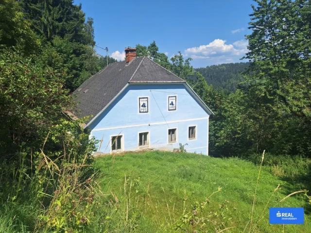 Grundstück kaufen in Wölzing - Sankt Andrä, Kärnten