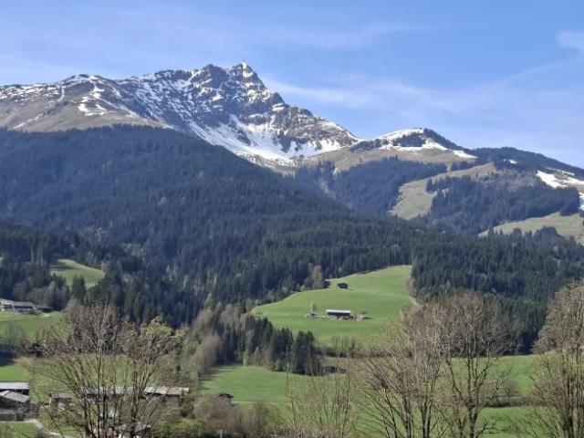 Grundstück kaufen in St. Johann in Tirol, Tirol