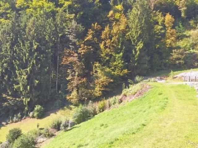 Grundstück kaufen in St. Nikola an der Donau, Oberösterreich