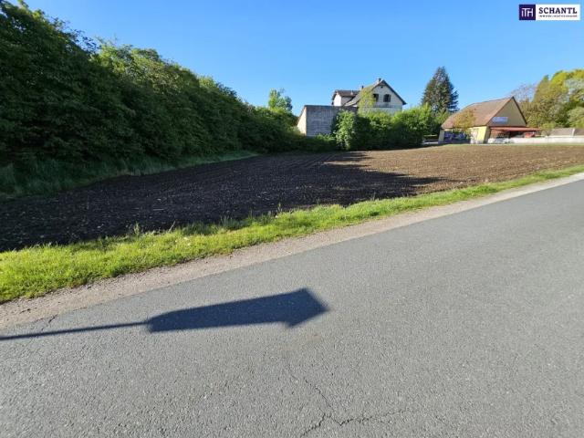 Grundstück kaufen in Stainz, Steiermark