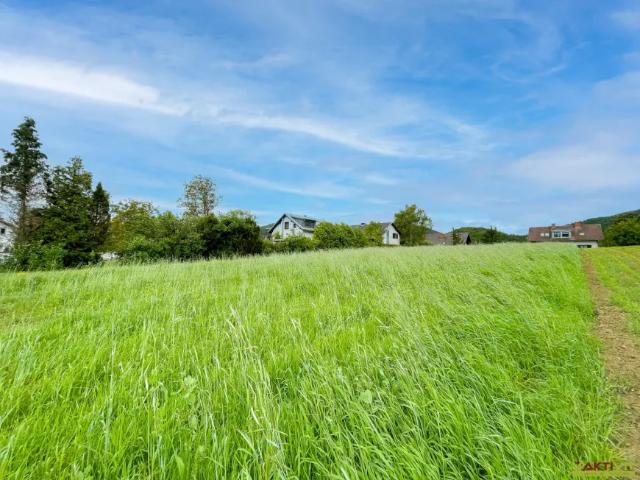 Grundstück kaufen in Stattegg, Steiermark