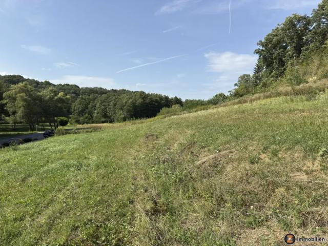 Grundstück kaufen in Stegersbach, Burgenland
